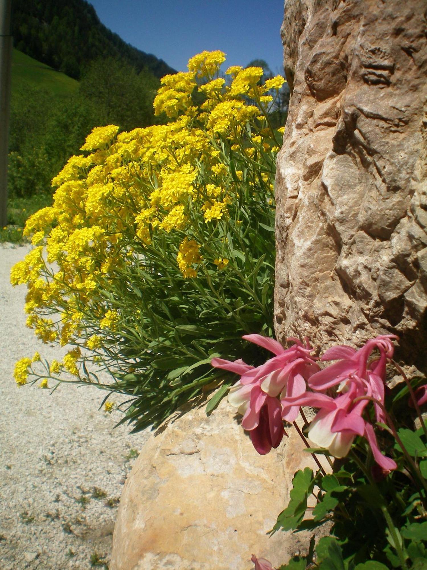 Villa Otto Santa Cristina Val Gardena Zewnętrze zdjęcie