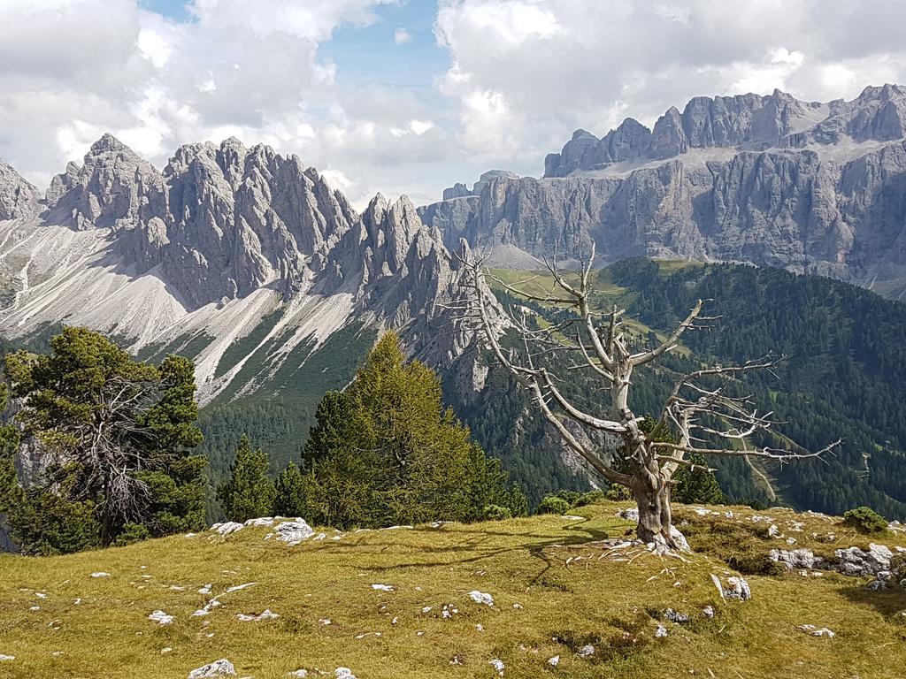 Villa Otto Santa Cristina Val Gardena Zewnętrze zdjęcie